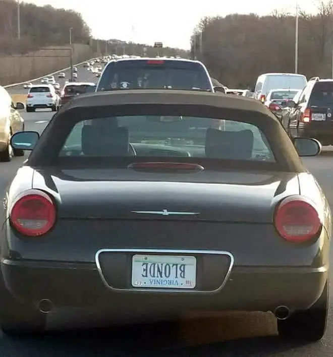 20+ Funny License Plates That Would Brighten Anyone