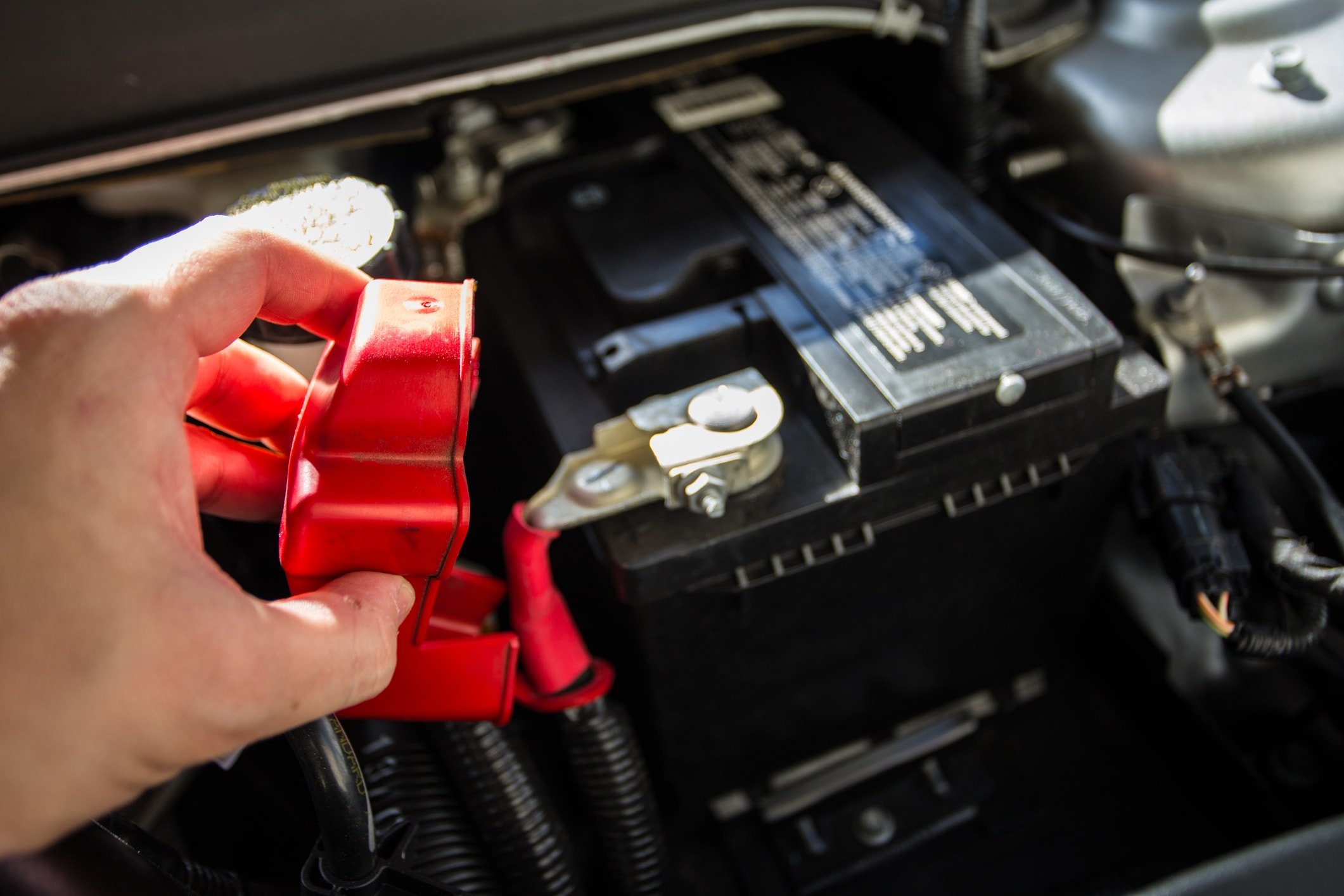 Disconnecting a car battery over a long holiday: should ...