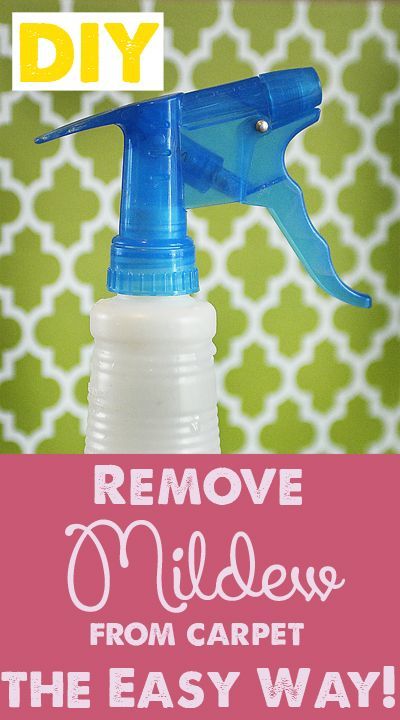 DIY Cleaner for getting mildew out of your carpet! # ...