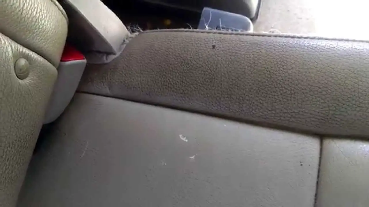How To Clean Dirty Leather Car Seats, Are Leather Seats Real