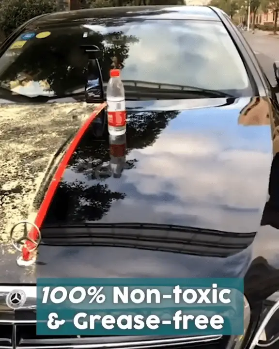 how to get spray paint off car window