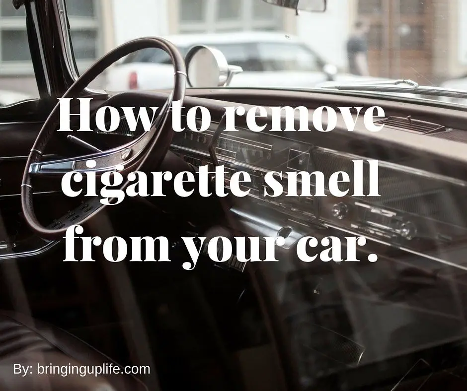 How To Remove Mold Smell From Car