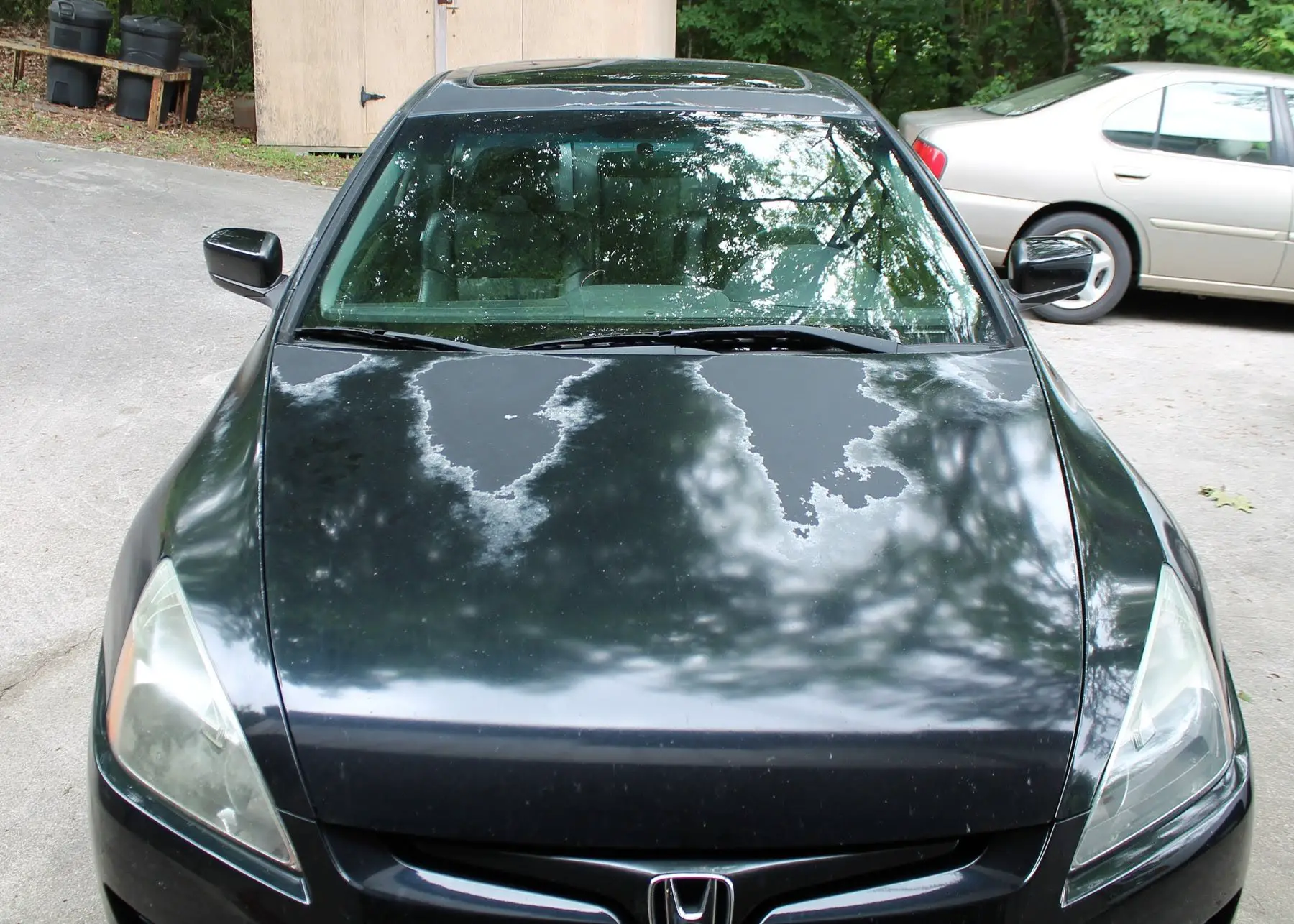 Learn How To Easily Fix The Peeling Clear Coat On Your Car!