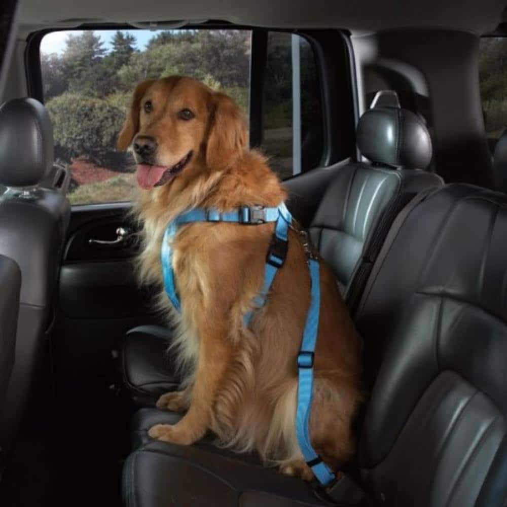 Nylon Dog Car Harness, Small