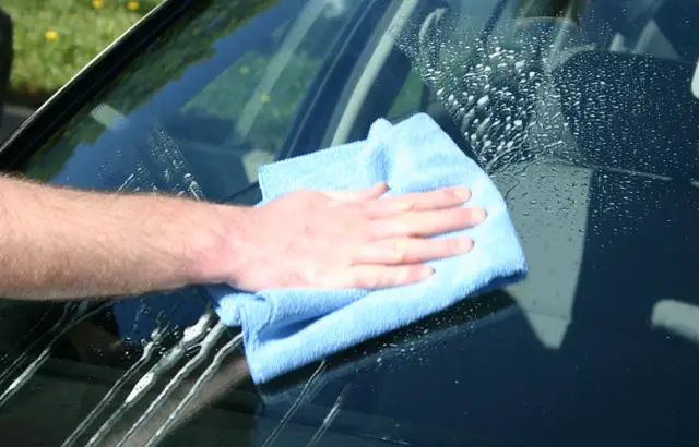 Removing Mold to Prevent a Car Glass Repair