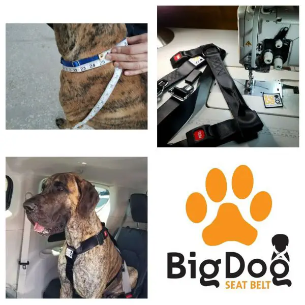 Restrain your big dog properly in the car with the Big Dog Seat Belt ...