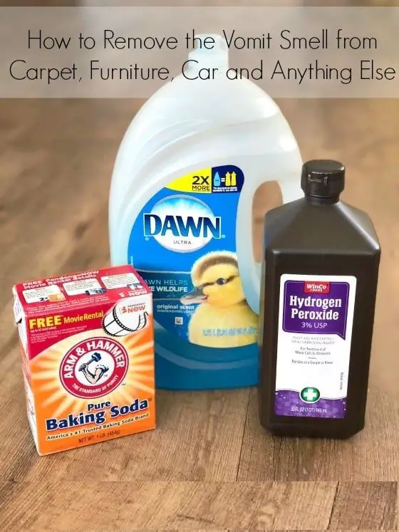 The Best Best Way To Clean Vomit From Car Carpet And View